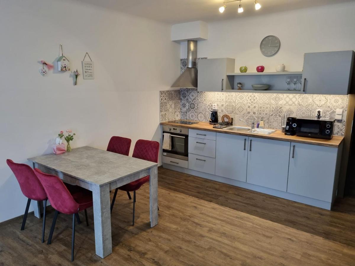 Velke Studio Na Velkem Namesti S Vybavenou Kuchyni Hradec Králové エクステリア 写真