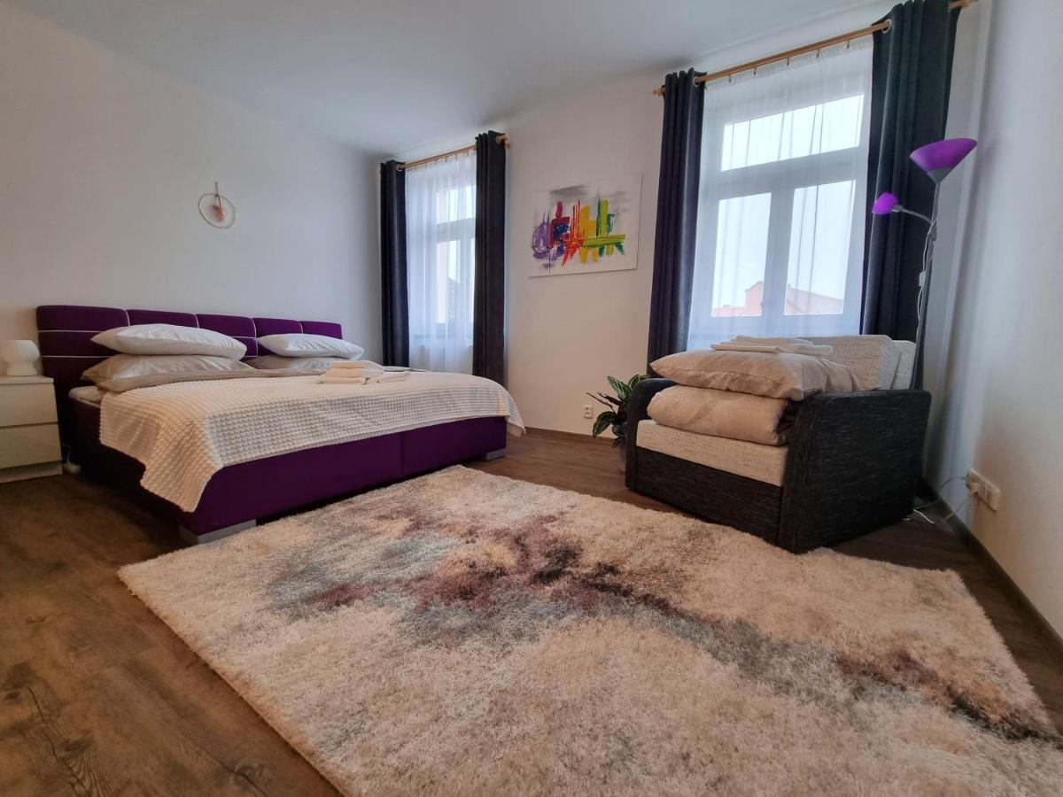 Velke Studio Na Velkem Namesti S Vybavenou Kuchyni Hradec Králové エクステリア 写真
